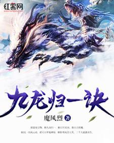 九龙归一诀 九龙归一诀